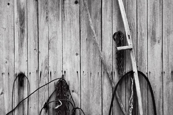 Martwa natura z kosą