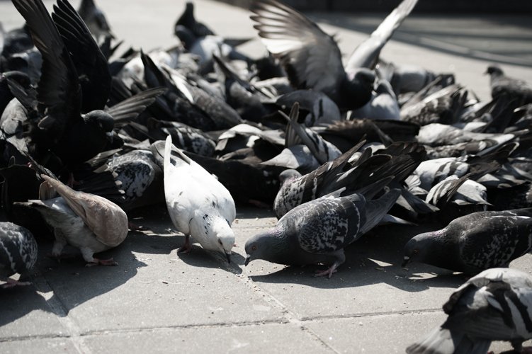 to akurat moje ziarno.