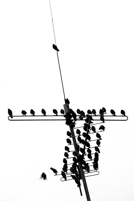 >SPÓŹNIŁEŚ SIĘ !!