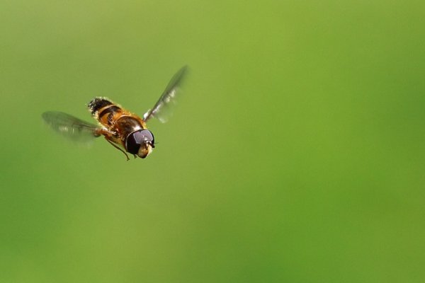 Lecę bo chcę... :)