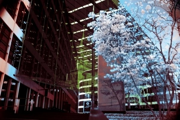 Szklane podwórko przy Tower