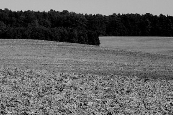 Samotność długodystansowca