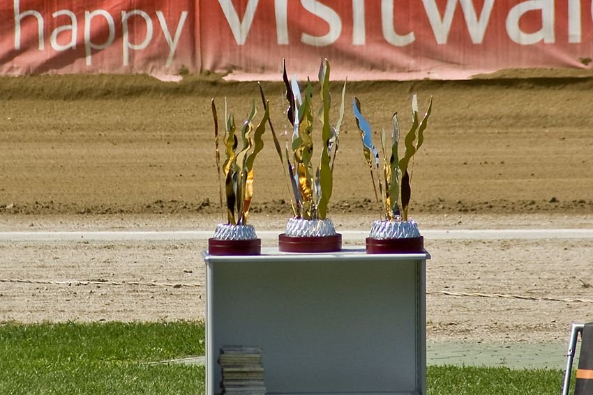 Przedmiot porządania