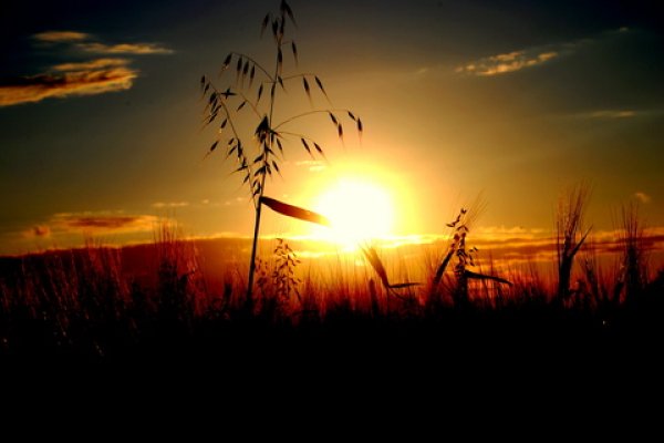 Pozdrowienia dla wszystkich