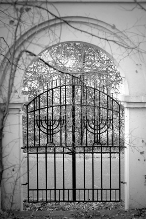 Cmentarz żydowski 3