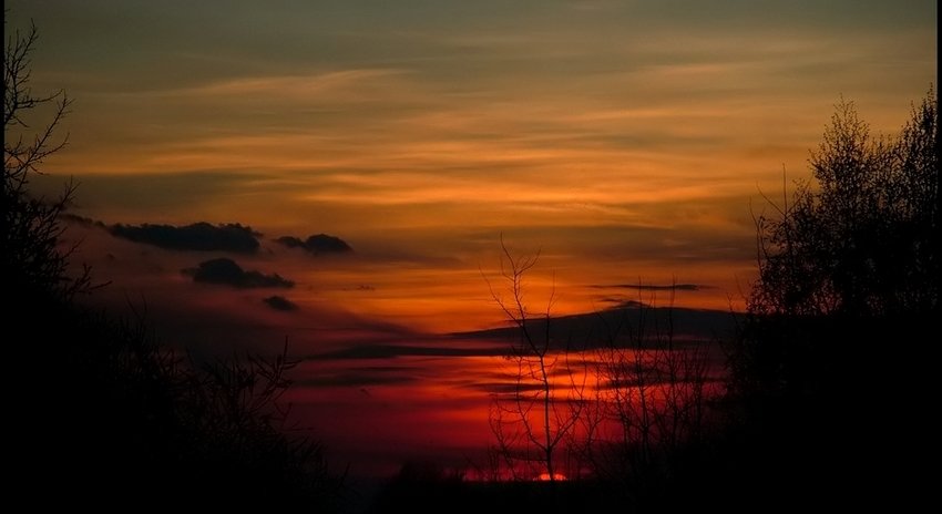 ...światłem malowane 001