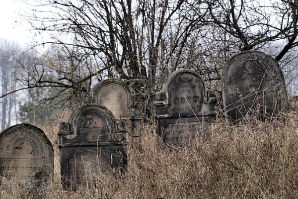 Człowiek nie ma nic na tym świecie oprócz grobu