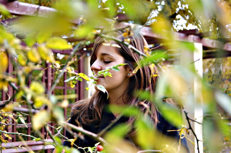 przez różane gałęzie