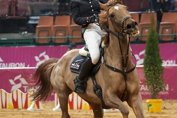 Parada Horse Show 2010