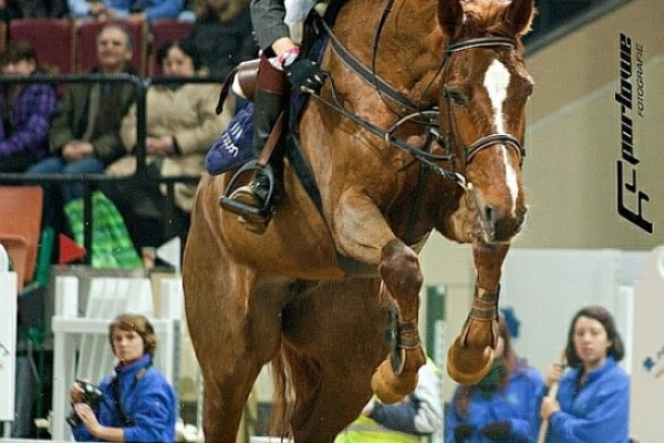 Parada Horse Show Katowice