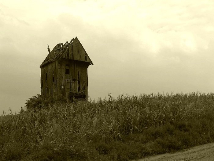 Stary wiatrak sepia