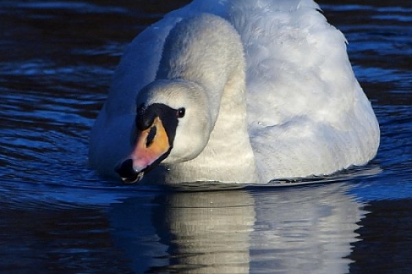 a ja gwiżdże sobie na taka zimę....