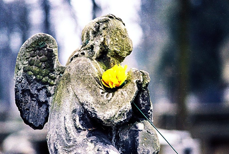 Cmentarz Rakowicki, sektor niemowlaków