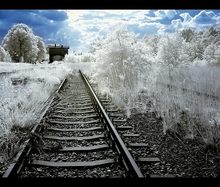 niedokończona podróż