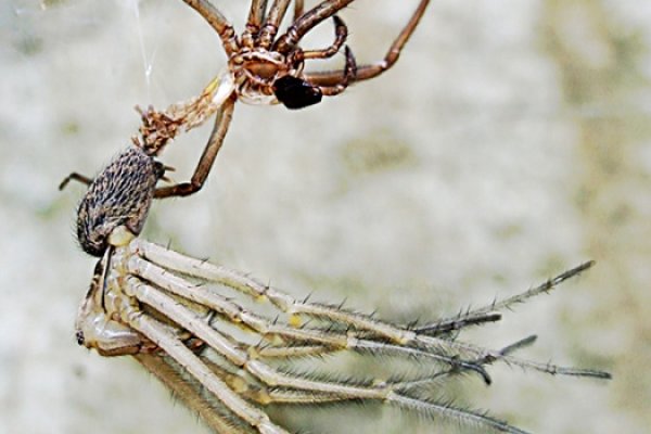 Czasem ma się po prostu dość...