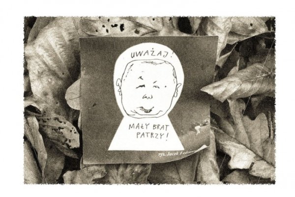 Znalezione w lesie...