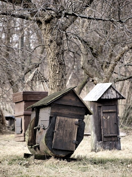 ...krowa daje mleko,pszczoły daja miód...