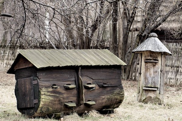 Puchatkowa spiżarnia