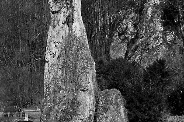 Trochę ch...we zdjęcie