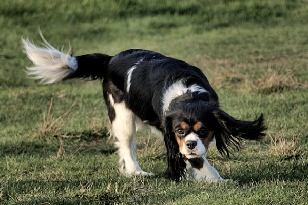 taki jestem dzisiaj rozczochrany...