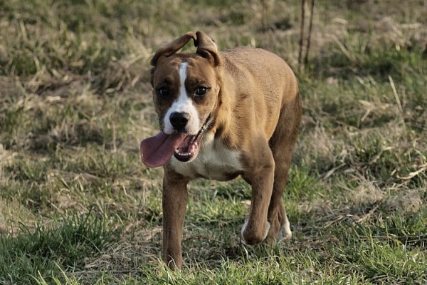 ulatałem się dzisiaj za wszystkie czasy...