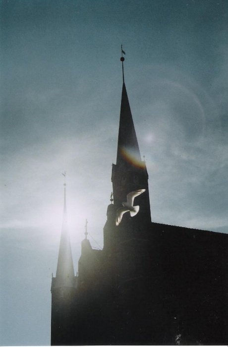 Mewa albo inne stworzenie & church