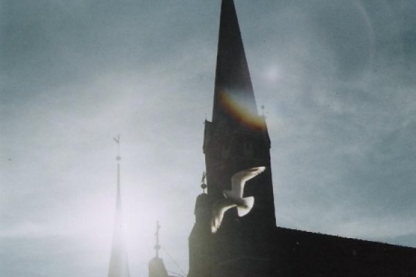 Mewa albo inne stworzenie & church