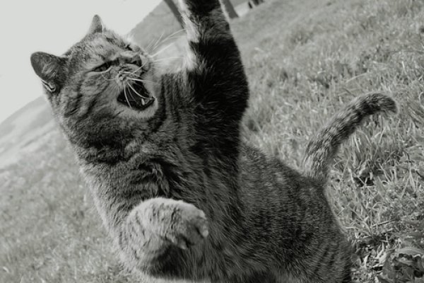 Elza pokazała pazur