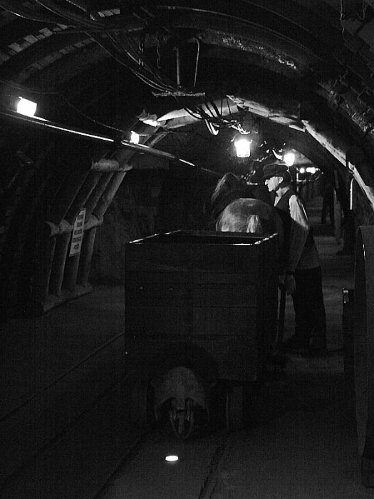 Łysek z pokładu Idy