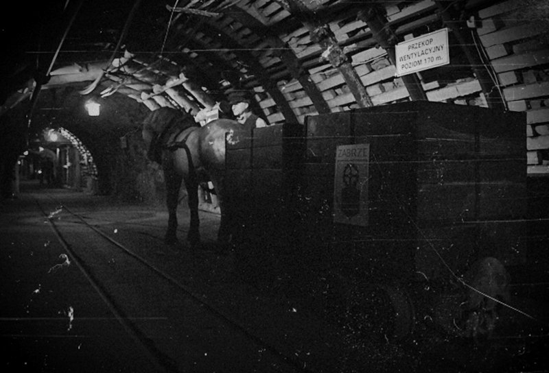 Na Grubie w Hindenburgu