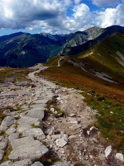 .... Takie tam T....