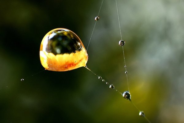 ...mikrokosmos - c.d...