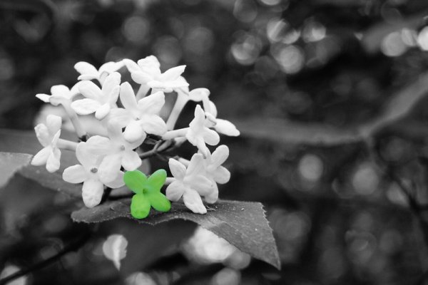 czasem szczęście jest na wyciągnięcie dłoni...