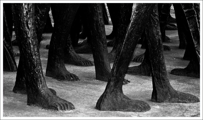 po szarość... po szarość... po szarość...