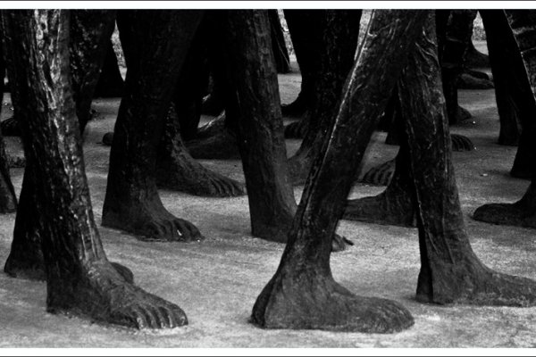 po szarość... po szarość... po szarość...