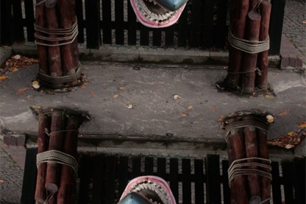 sharks and danger ice