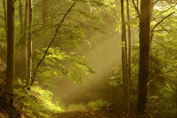 nie wychylaj się...