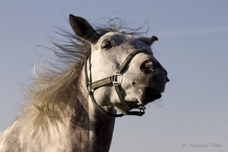 Syndromy dnia drugiego