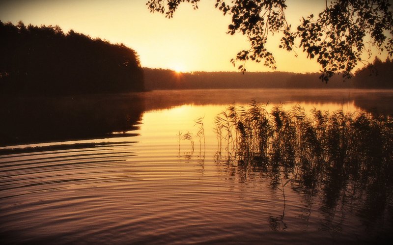 kiedy ranne wstają zorze