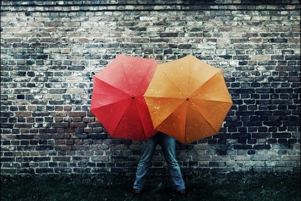 konsumpcji Parasola podświadomość:.