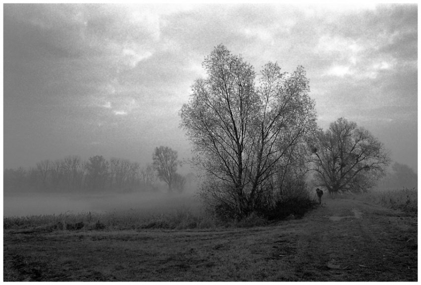 Czerp z innych, ale nie kopiuj ich. Bądź sobą.