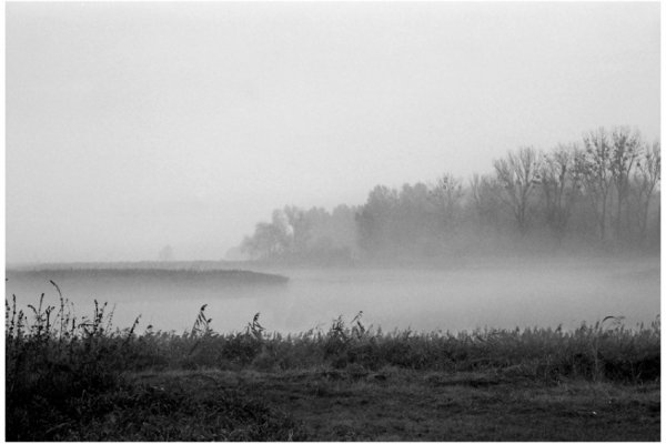 Część pierwotnej Puszczy