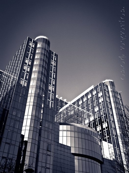 ...brukselkie impresje...