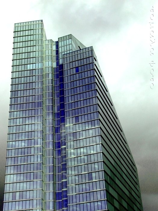 ...brukselkie impresje...