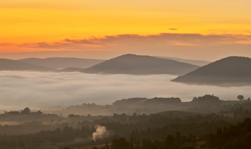 marzenia o porannej kawie