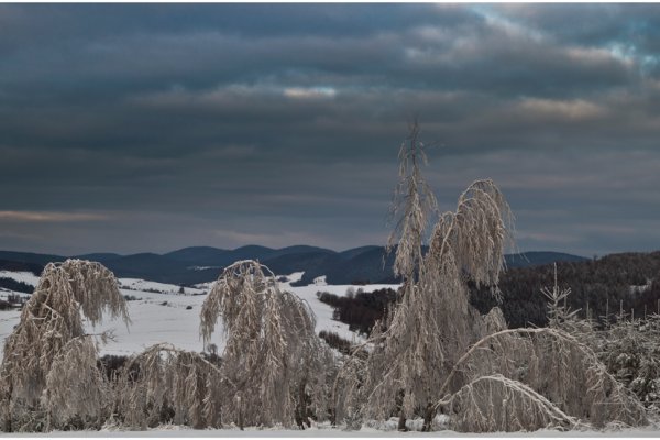 Sylwestrowy szwędacz