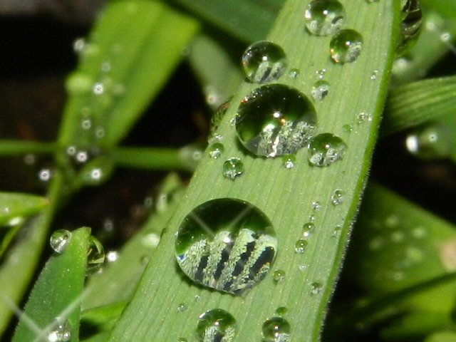 JAK MAŁE PEREŁKI...