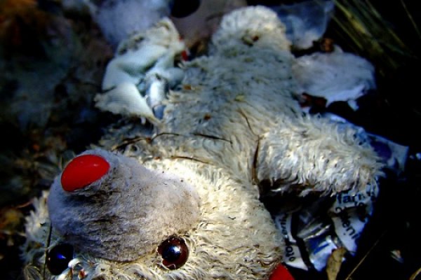 W małym świecie...