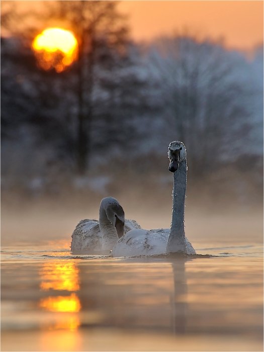 Rano,zimno i w ogóle