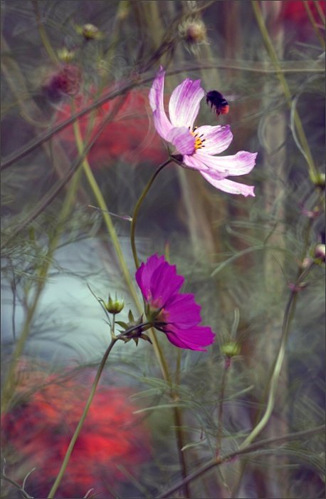 Lądowanie na Kosmosie